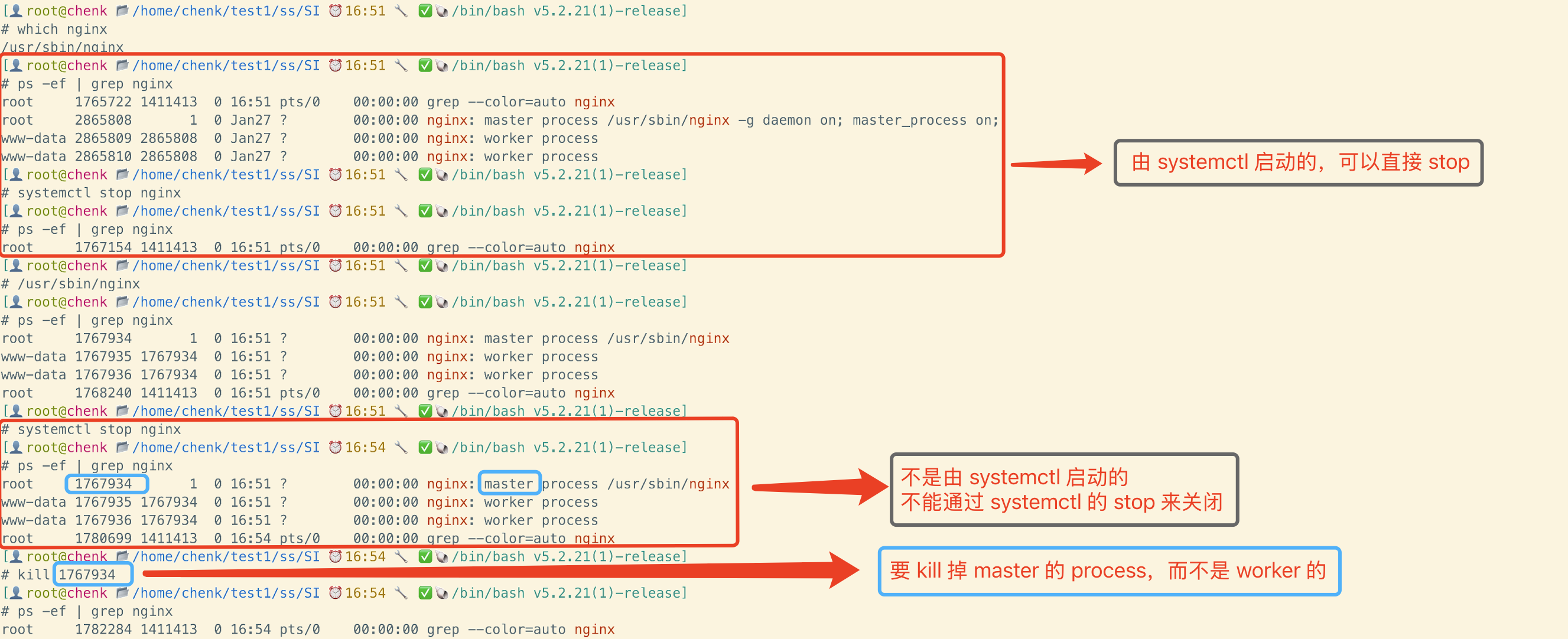 image-20250203005916445